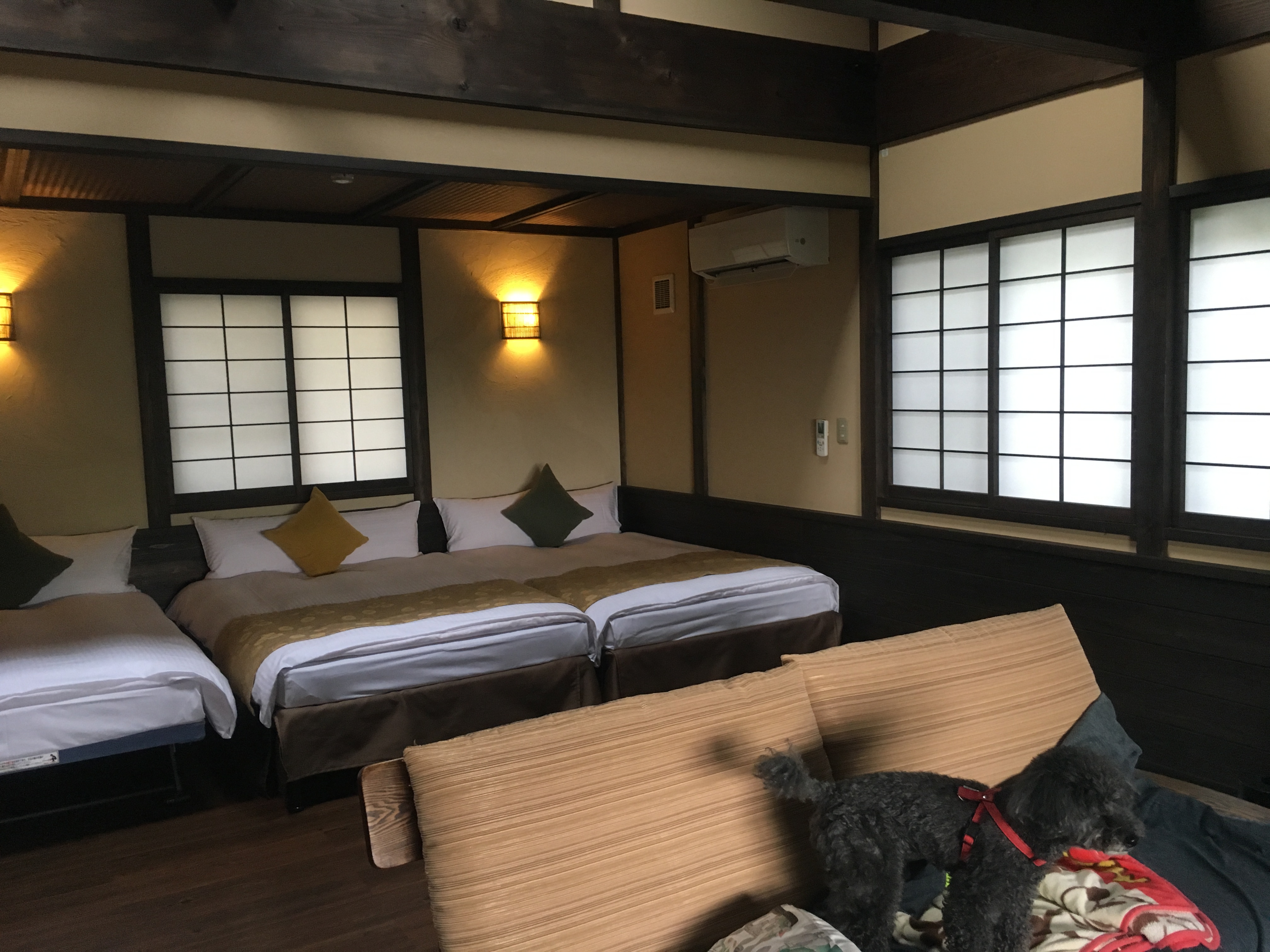 温泉旅行 withワンコ(33歳、社員K)